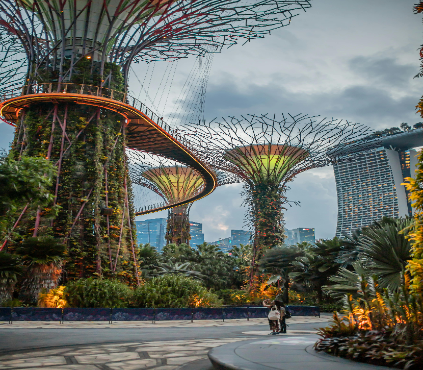 Singapore Essentials Package