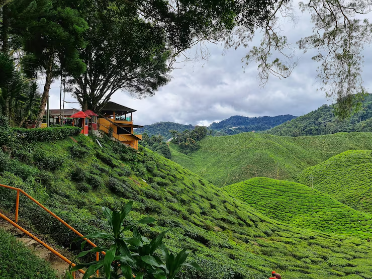 Malaysia Visa Services - Almiraaj International