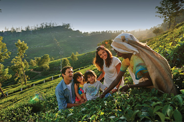 Munnar Tour Package