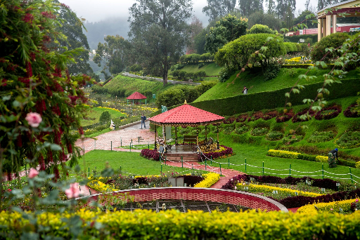 Ooty Tour Package