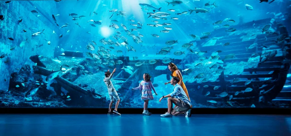 Singapore Tour Package  - Almiraaj International