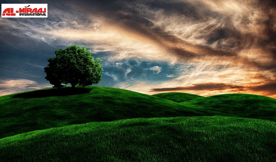 Tourist Visa Services - Almiraaj International